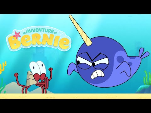 The Adventures of Bernie | Narval Duel (S01E27) Zig & Sharko - Cartoons for Kids