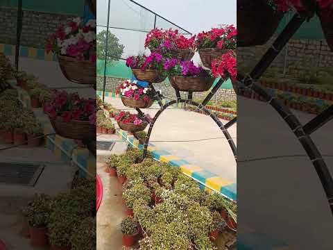 flower 🌹🌹🌹🌸🌸🌸 decoration #shortvideo