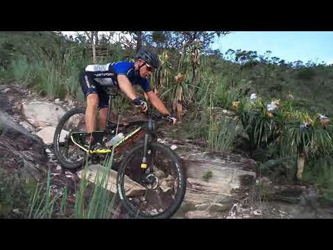 CANASTRA RAVELLI SPECIALIZED 2019