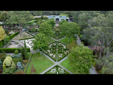 Enchanted Adventure: the Home of Tree Surfing