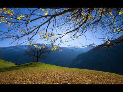 The Auranaut - People Want To Be Needed (Sunrise Mix)