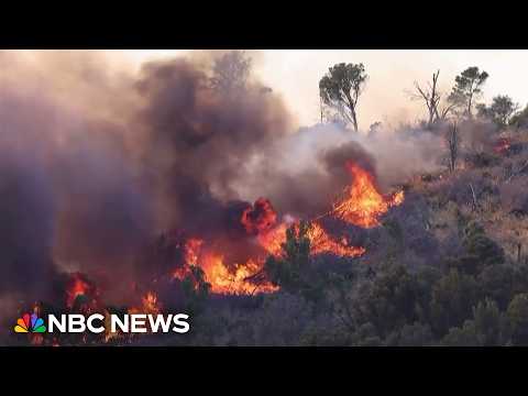 Sicily battles wildfires, its history of Mafia sparking flames resurfaces