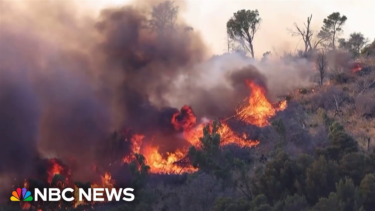 Video: Sicily battles 2026 wildfires amid heatwave; past Mafia arson links noted