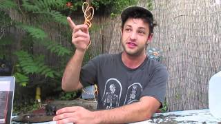 Pre-Show Chat with Lee Bains III