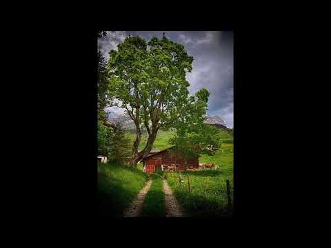 Programa: Caminho da Roça - 10/03/26 - Parte 1 - Apresentação: Paulinho