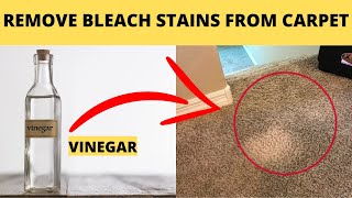 How to Remove Bleach Stains from Carpet with Vinegar- Home Carpet Cleaning