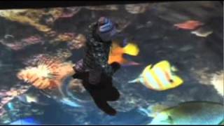 Large AdVis Interactive Floor Projection at the London Aquarium
