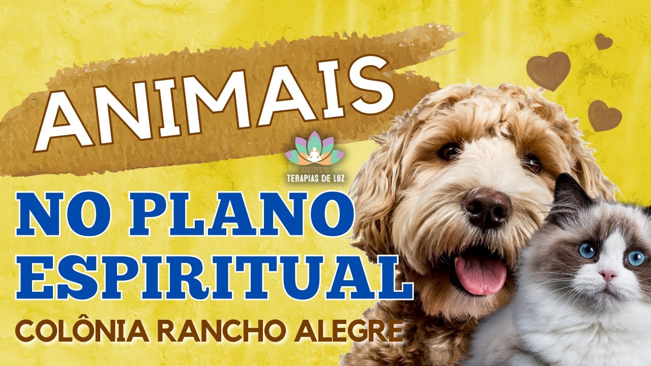 OS ANIMAIS NO PLANO ESPIRITUAL - COLÔNIA RANCHO ALEGRE