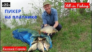 Ссылка