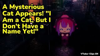 A Mysterious Cat Appears! "I Am a Cat, But I Don't Have a Name Yet!" | Kikirara Vivi