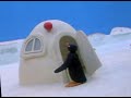 Pingu S01 E24
