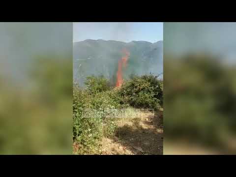 Top Channel/ Vatra e zjarrit në Lalm, banorët: Është vënë nga dora e njeriut në mesnatë