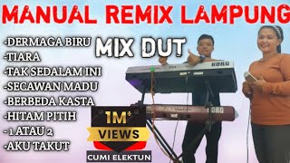 Download lagu REMIK LAMPUNG TERBARU,REMIK DANGDUT (LAGU MALAYSIA) DERMAGA BIRU ,TIARA 2023 (CUMI ELEKTUN) fullbass mp3