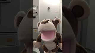 Stop Look Is Anyone There? by The Cowsills