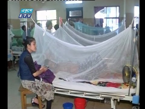 করোনায় বেড়েছে মশার দাপট, কমছে না ডেঙ্গুরোগী
