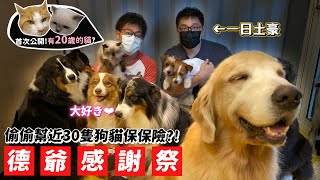 Re: [問卦] 花大錢養狗的人是怎麼想的