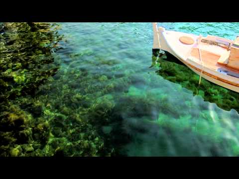 Publicly Anonymous ft Veela Killings - Bioshock Anthem FREE DOWNLOAD