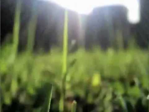 Gökalp Ergen - The Author