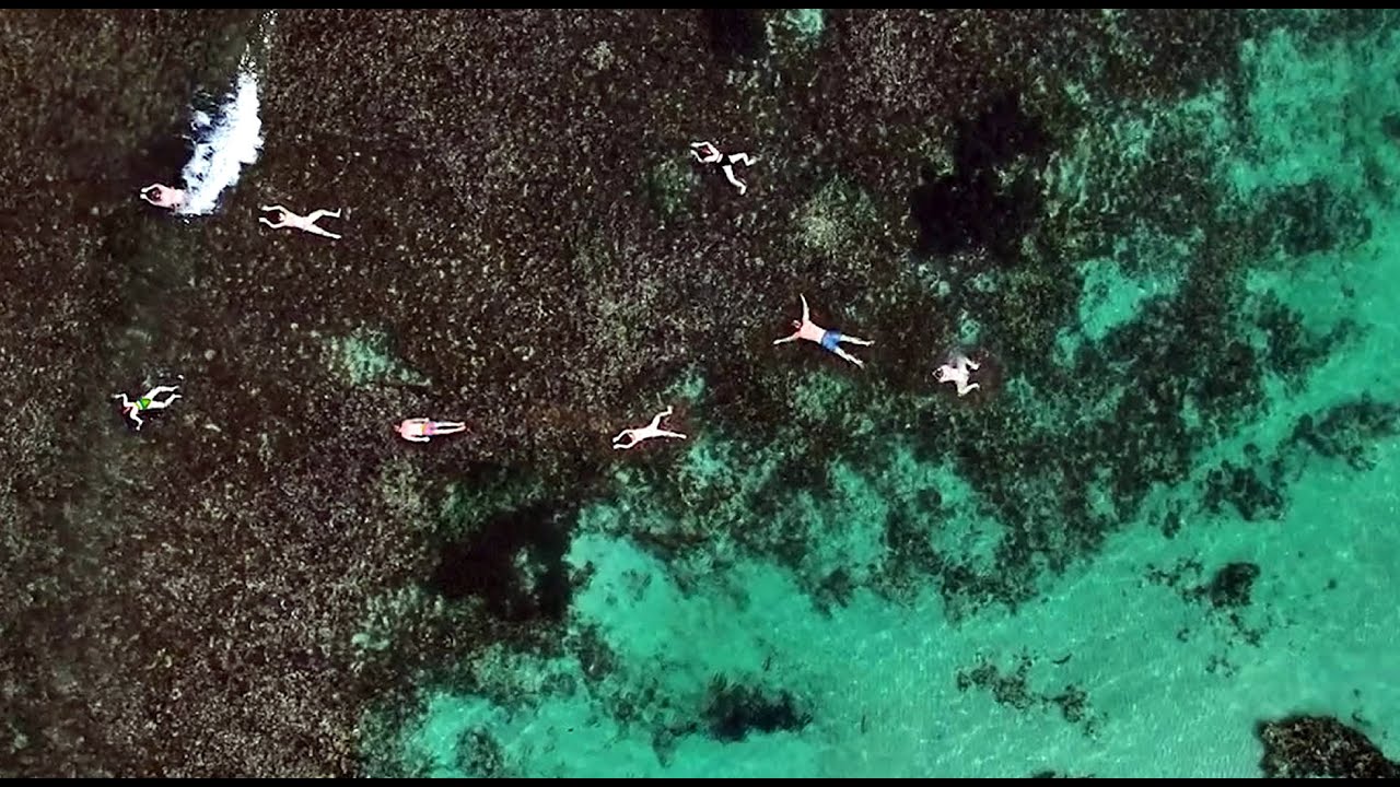 Discover the highlights of Marmion Marine Park.