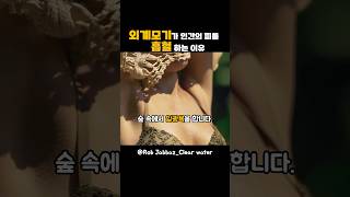 외계 모기에 물리면 일어나는 / 단편영화