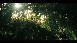 MÚSICA PARA MEDITAR DORMIR RELAXAR - DURMA EM POUCOS MINUTOS - ALIVIA A TENSÃO NERVOSA O CORAÇÃO.