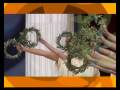 Special Olympics ATHENS 2011 Promo Video