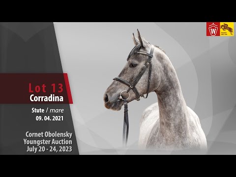 Cornet Obolensky Auktion Lot 13 Corradina Stute v. Cornet Obolensky - Numero Uno