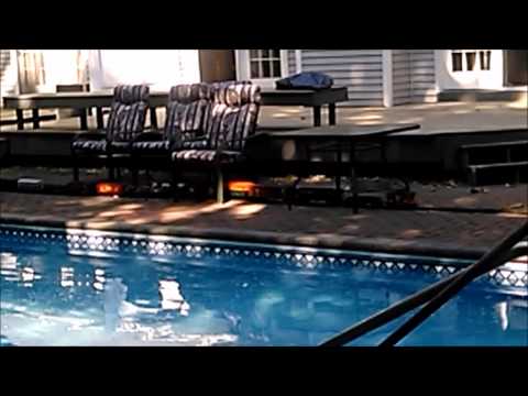 09 01 15 around the pool at Lunenburg, MA