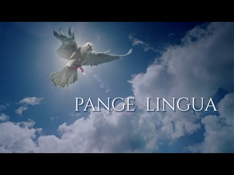 432 Hz  | "Pange Lingua Hymn" | Gregorian chant of the mystics