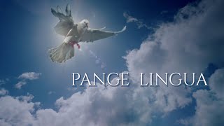 432 Hz  | &quot;Pange Lingua Hymn&quot; | Gregorian chant of the mystics