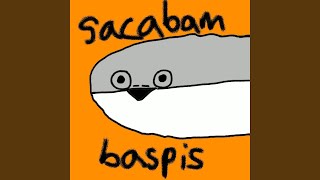 Cover art for Sacabambaspis