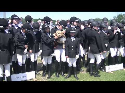 Uitslag NK Carrousel 2017 1e Divisie Pony's