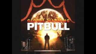 Pitbull Ft. Akon &amp; David Rush - Everybody Fucks [2012]