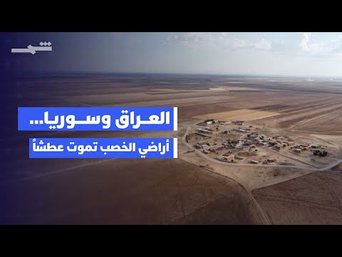 فيديو | ألف دونم لزراعة رز عنبر بالمشخاب وتعويض المتضررين لا يزال قيد المراجعة