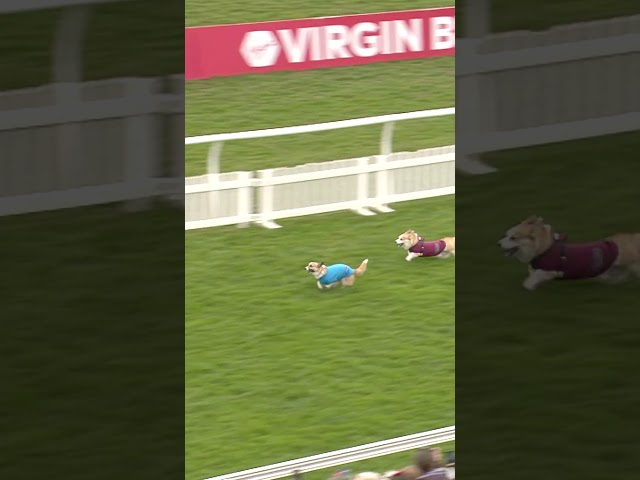 Thumbnail for Post ID: -9NfUVD9wPc