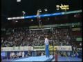 Elite Gymnastics