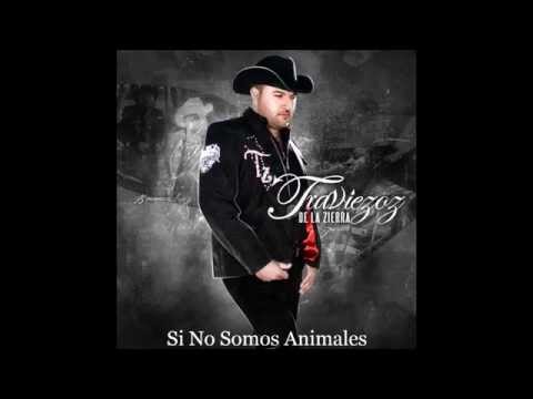 Los Traviesos De La Sierra - Si No Somos Animales 2014 ✓ ︻┳═ 一