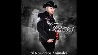 Los Traviesos De La Sierra - Si No Somos Animales 2014 ✓ ︻┳═ 一