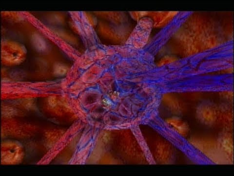 Let's Play Blind Grandia 2 Pt.32: Belly of the Beast