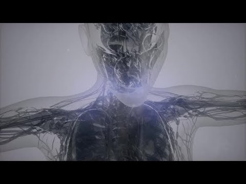 Magnetic Resonance Image Scan | Motion Graphics - Videohive template