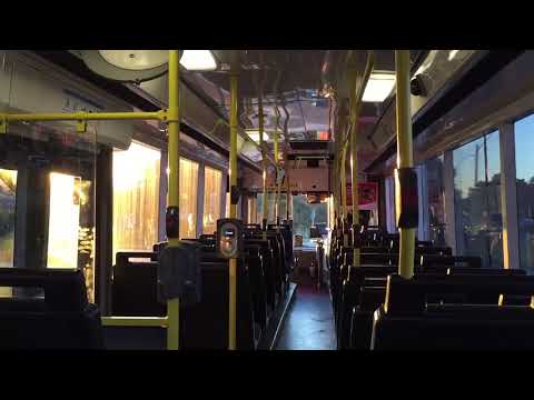 STA Sydney m/o 3414 - Scania L113TRB 14.5m (ZF)