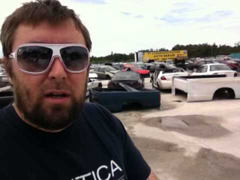 The Daily Woo - Day 52 - 8/22/2012 - Junk Yard Dogs ?