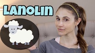 Lanolin in skin care| Dr Dray