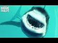 Sharks Attack in Open Water 3: Cage Dive Trailer