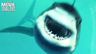 Sharks Attack in Open Water 3: Cage Dive Trailer