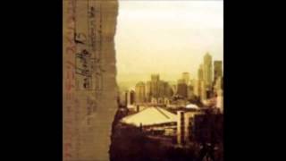 I´ll show the world, Calibretto 13