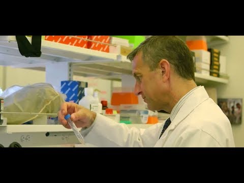 Image - HSS Minute: Current Stem Cell Research