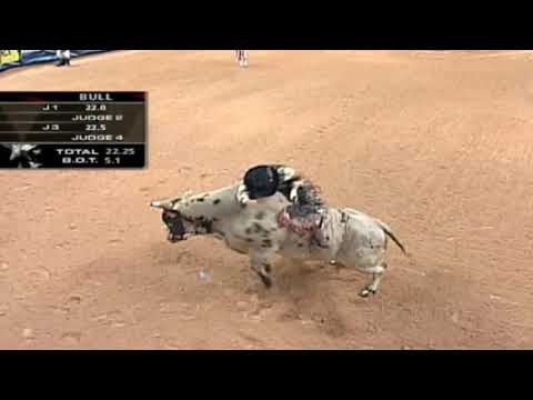 Holy Moly bucks Robson Palermo - 06 PBR Finals