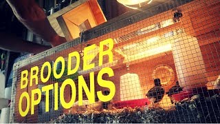 Chicken Brooder Options