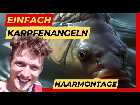 Modern carp fishing is that easy ✌️✅